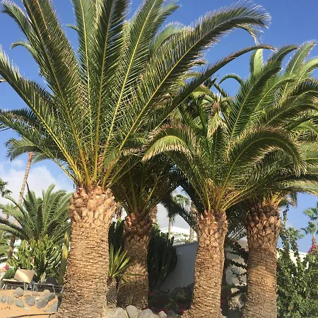 Cosy With Rooftop Terrace And Wifi Apartment Valle de San Lorenzo